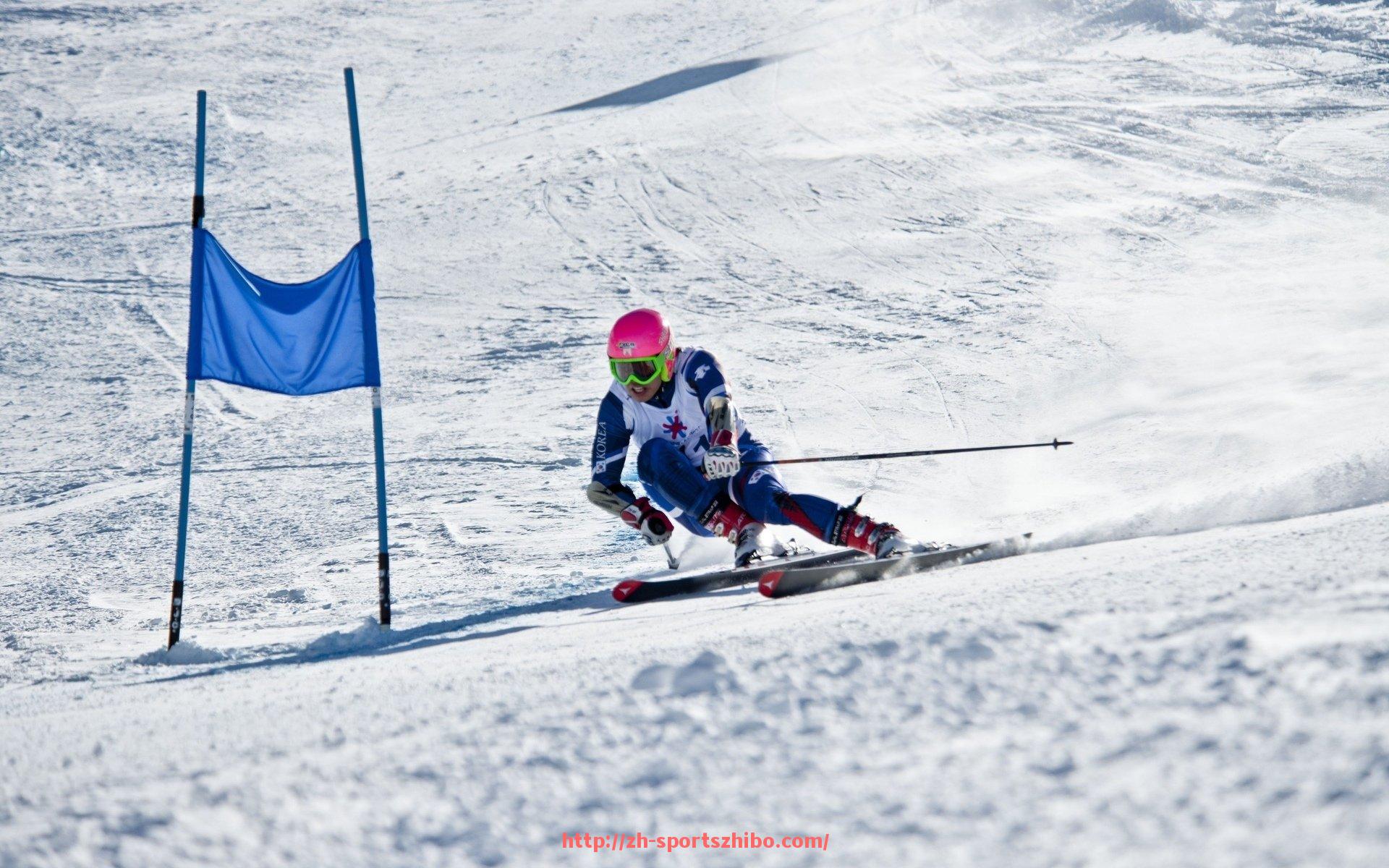 体育直播-新赛季意甲球队教练变动及战术调整分析