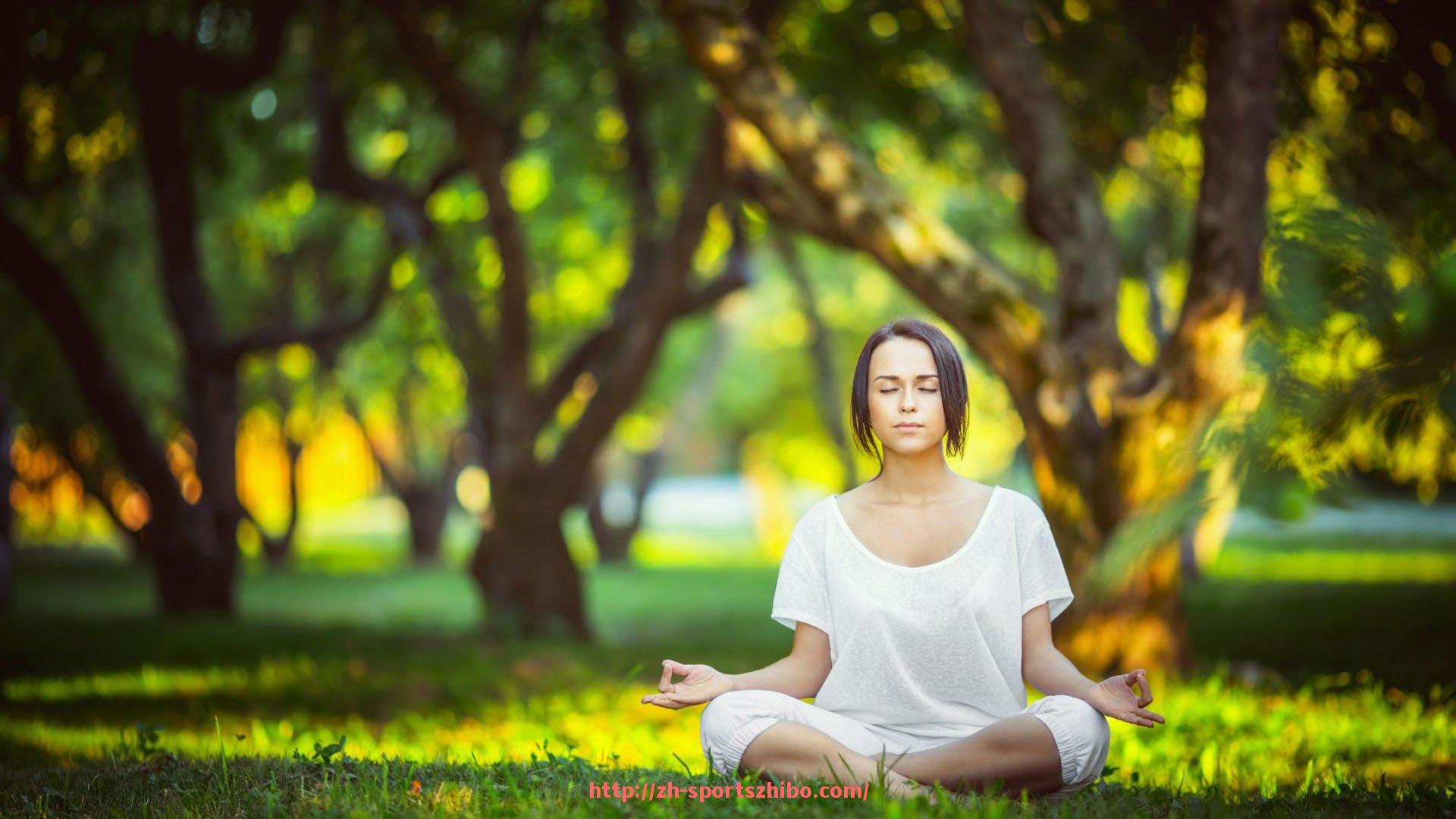 体育直播-世俱杯射门次数年度数据对照：攻击欲望与进球效率的平衡